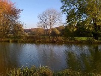 automne55 1