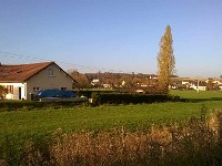 automne59 1