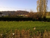 automne60 1