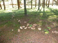P1030155