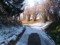 21Janvier2016x41