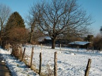 21Janvier2016x44