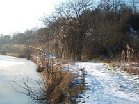 21Janvier2016x56