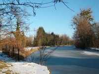 21Janvier2016x57