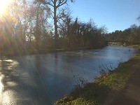 WP 20160125 022 1