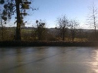 WP 20160125 025 1