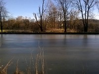WP 20160125 027 1
