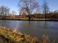 WP 20160125 028 1
