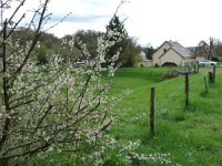 Du 9 au 20 Avril 2016
