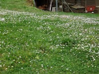 Avrill 201639