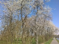 Avrill 201645