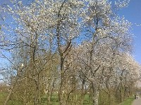 Avrill 201646