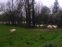 Inondations 17 Avrill 201663