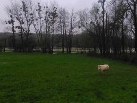 Inondations 17 Avrill 201664