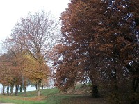 IMGP2750