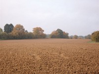 IMGP2752