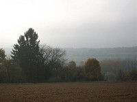 IMGP2753