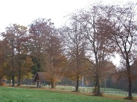 IMGP2757