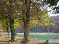IMGP2758