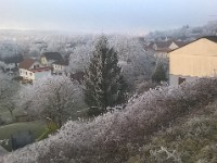 WP 20170101 018
