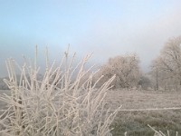 WP 20170101 027