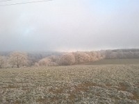 WP 20170101 029