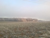 WP 20170101 030