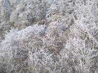 WP 20170101 045
