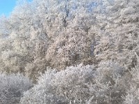 WP 20170101 046