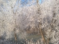 WP 20170101 049