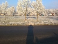 WP 20170101 079