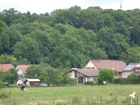 DSC00640