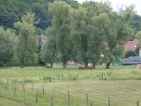 DSC00641