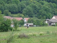 DSC00642