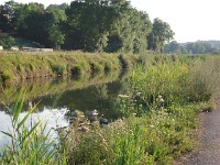 IMGP3257