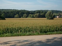 IMGP3260