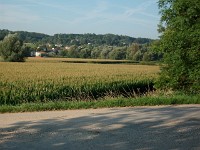 IMGP3261