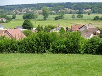DSC00349