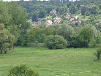 DSC00384
