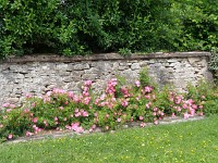 DSC00392