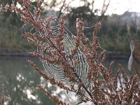 IMGP3355