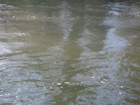 IMGP3362