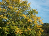 IMGP3364