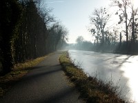 IMGP3944