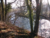 IMGP3947