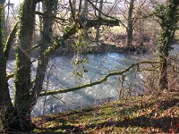 IMGP3948
