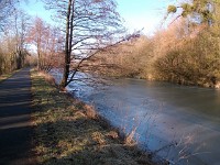 IMGP3951