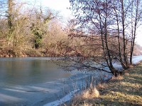 IMGP3952