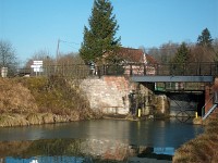 IMGP3955