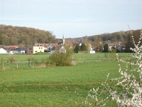 IMGP3981